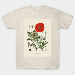 Field Poppy Antique Botanical Illustration T-Shirt